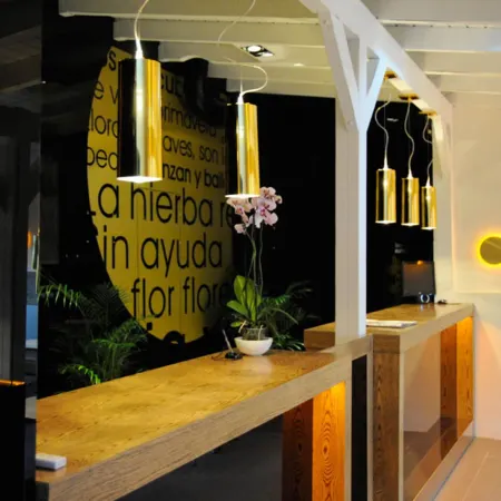 Hotel Domus