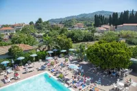 Hotel Delle Mimose - parking