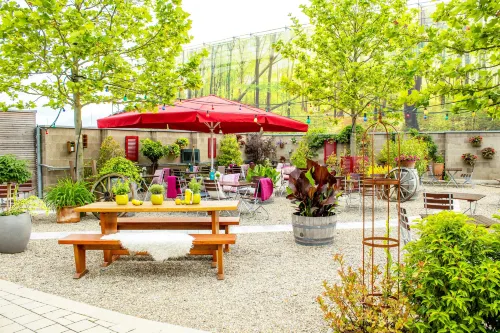 4-Sterne-Superior Hotel Calamus in Kehl Hotels in Kork