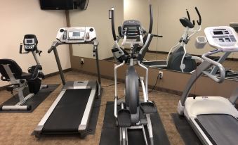 Shenandoah Inn & Suites
