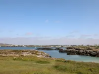 Llwyn Eithin