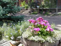 Anchorage Farm B&B - Bjergudsigt