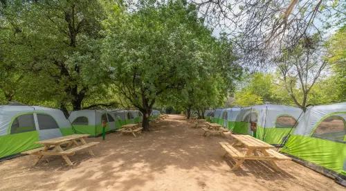 Camping Dafna - by Travel Hotel Chain - Pet friendly