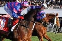 Quest Ascot Hotels in Nundah