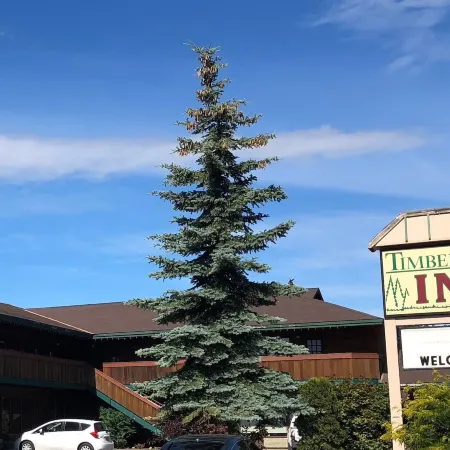 Timber Lodge Inn