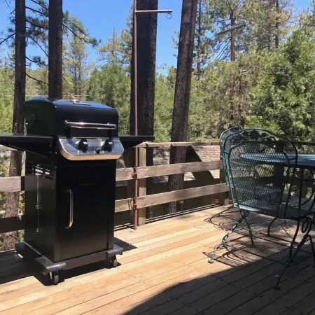 Twin Rock Tree House - Vintage Cabin