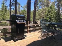 Twin Rock Tree House - Vintage Cabin
