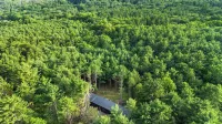 100ft of Forest Light - Modern Catskills Escape Hotels in Cairo