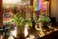 Alegr0 · 60s Chic Central Apartment w/ Garden - vasca da bagno