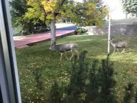 Be Our Guest at this Premier Property in Riverview 大瀑布城住宿飯店