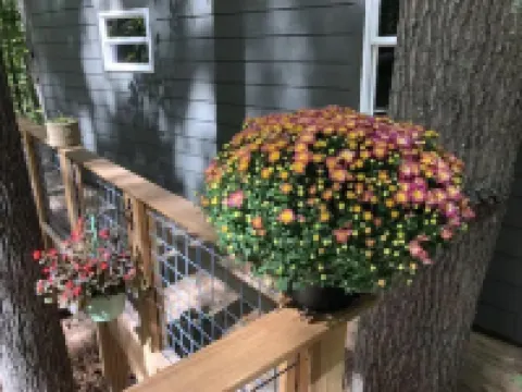 Secluded treehouse with indoor fireplace
