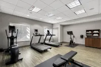 鳳凰/吉爾伯特歡朋飯店 - 健身房
