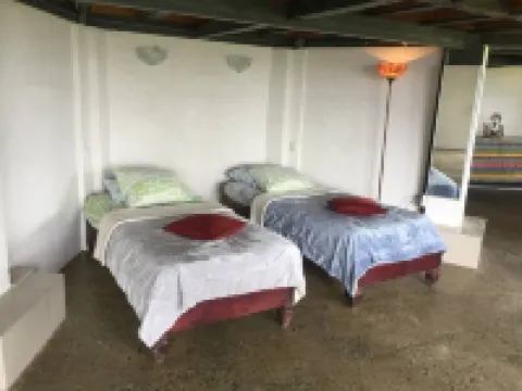 Penthouse in the jungle