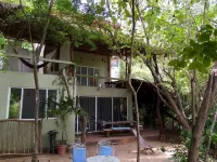 Right at a Secret virgin beach!