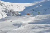 L'Hermine, 3 bedrooms / 80m2 / 7 pers.near center and slopes