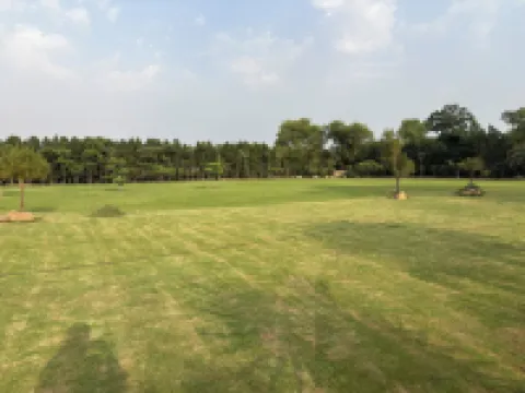 The Greenwood Farm And Lawn -Bijwasan