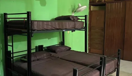 Hostel 1 block from downtown tequila with games room and bar. Отели в г. Текила