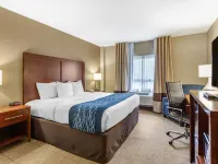 Comfort Inn Aikens Center Hotels in Berkeley County