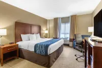 Comfort Inn Aikens Center Hotels in Berkeley County