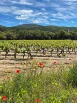 Maison Les Lavandes Between Vineyards and the Mediterranean Sea