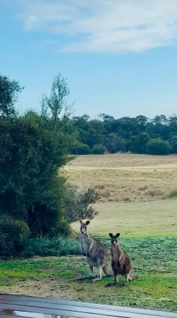 The Retreat at St Andrews Beach Golf Course - A golfer's paradise! Отели в г. Фингал