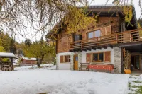 Beautiful Apartment Under Owners Chalet