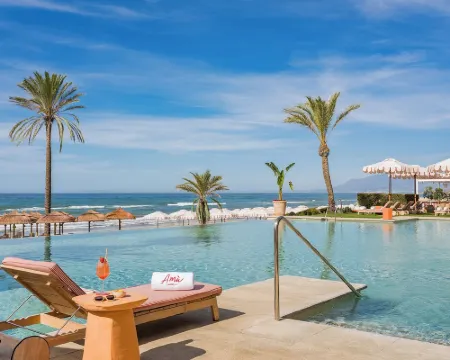 グラン マルベーリャ リゾート & ビーチクラブ マルベーリャのホテル