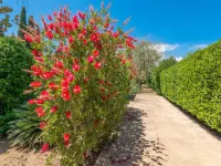 Ca Na Sioneta - Villa With Private Pool. Free Wifi