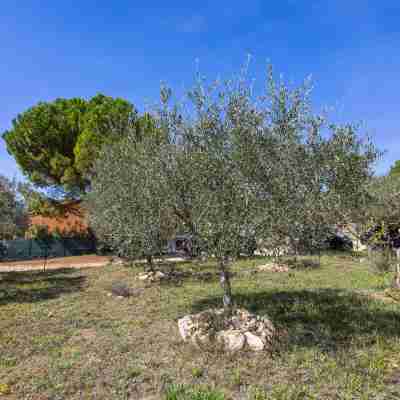 Holiday Home in Brignoles with Private Pool Hotel Exterior