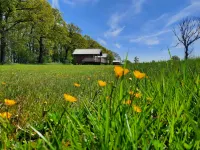 Lodge in Drenthe with Scenic Veranda - 2 ดาว