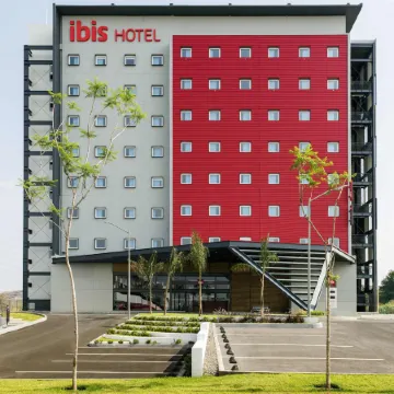 Ibis Irapuato
