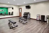 Holiday Inn Express & Suites COLDWATER by IHG - Gym