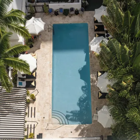 Hotel Croydon Miami Beach
