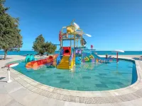 Grifid Noa - en bord de mer