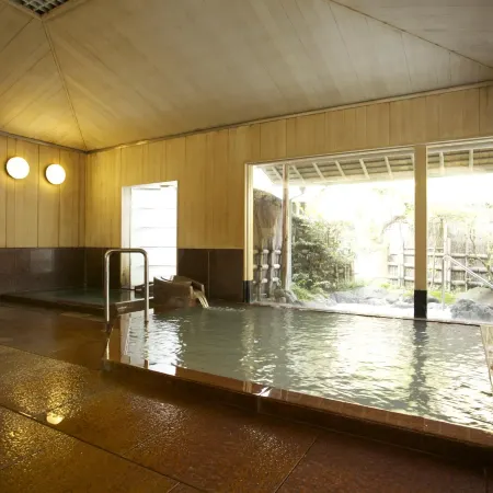 UNZEN HANZUIRYO