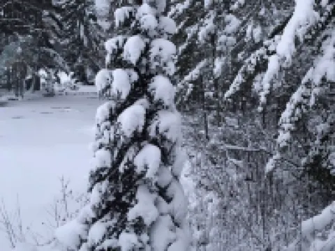 Modern home , Great Retreat Nestled  in the Beautiful Northwoods ...Adventures!<br> Hotels in Boulder Junction