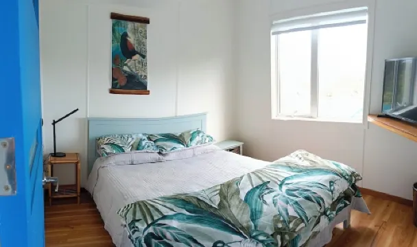 Great Exhibition Bay Bach