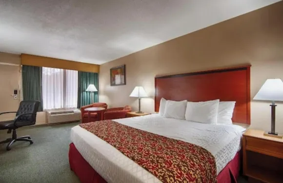 馬格努森山景酒店