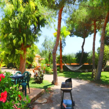 House in Campos with Pool near Cala Llombards