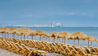 Dreamland Oasis Hotel - Beach