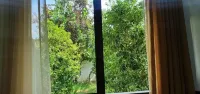 Xho's Forest Guest House - Mountain view