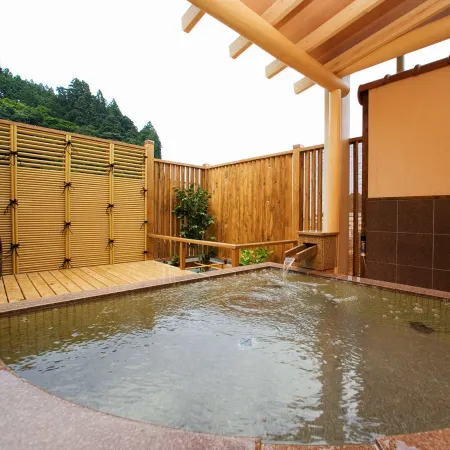Ryokan New Ougiya