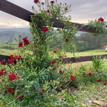 Chalé Sol da Invernadinha - Rancho Queimado/SC