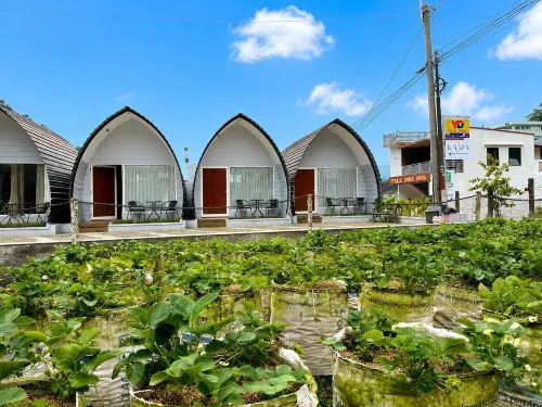 Glamping Assalam Syariah - Boutique