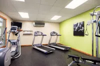 Country Inn & Suites by Radisson, Ithaca, NY - Kuntosalit