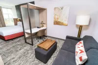 SpringHill Suites Ontario Airport/Rancho Cucamonga - جاكوزي