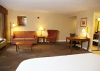 Hampton Inn Martin - Wifi