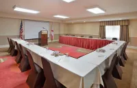 Hilton Garden Inn Orange Beach Beachfront - Pet friendly