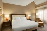 Hilton Boston/Dedham - 4-stjärniga