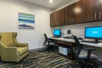 Hampton Inn & Suites Detroit/Allen Park - Pysäköinti